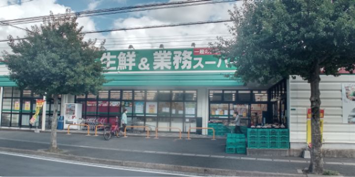 レオネクストオアシス 19201の周辺