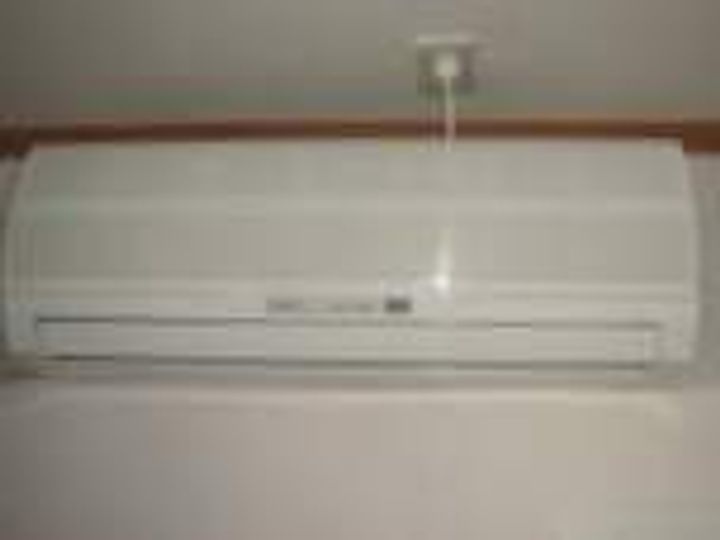 シェレン・バウム・Fのその他画像