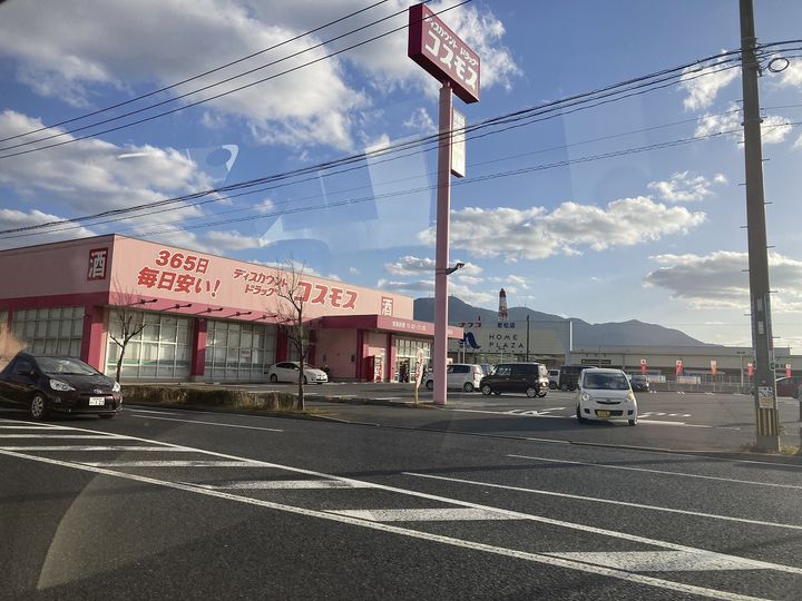花みずき200201の周辺