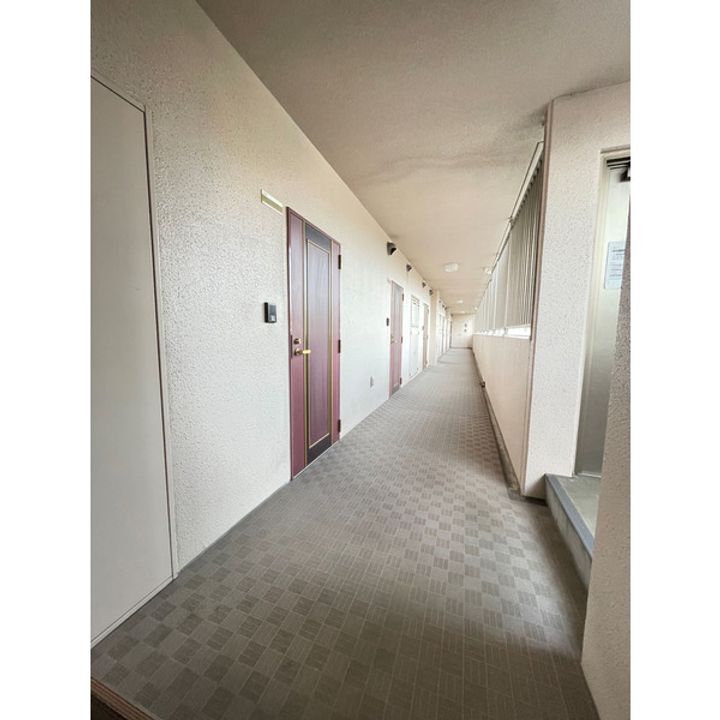 フォレストビューの周辺