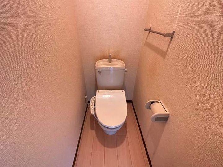 エボリューションのその他画像