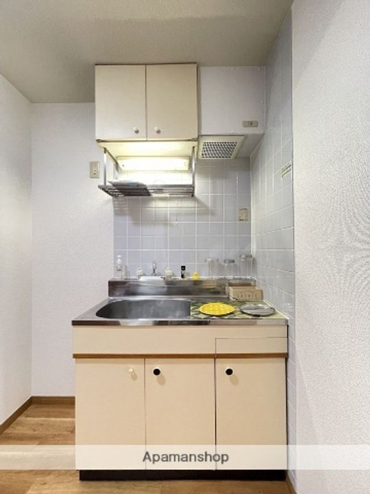 福岡県太宰府市大字向佐野の賃貸マンションのキッチン