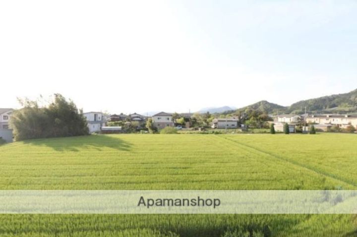 アネックスⅢの内装