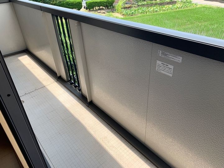 ヴェルドミール・大山のその他画像