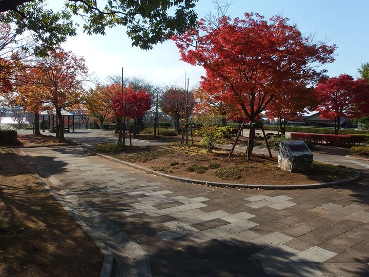 パークサイドA102の周辺