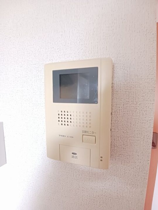 ハナミズキAのその他画像