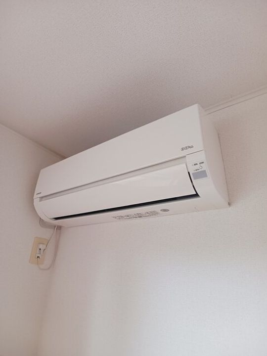 ハナミズキAのその他画像