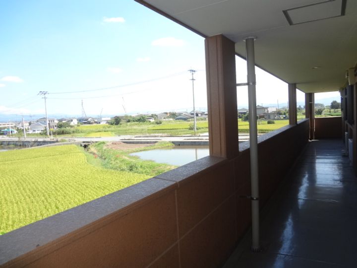 長浜ヒルズ101の周辺