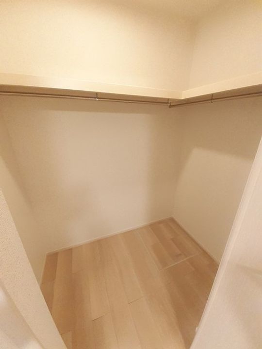 グランド ライン Bのその他画像