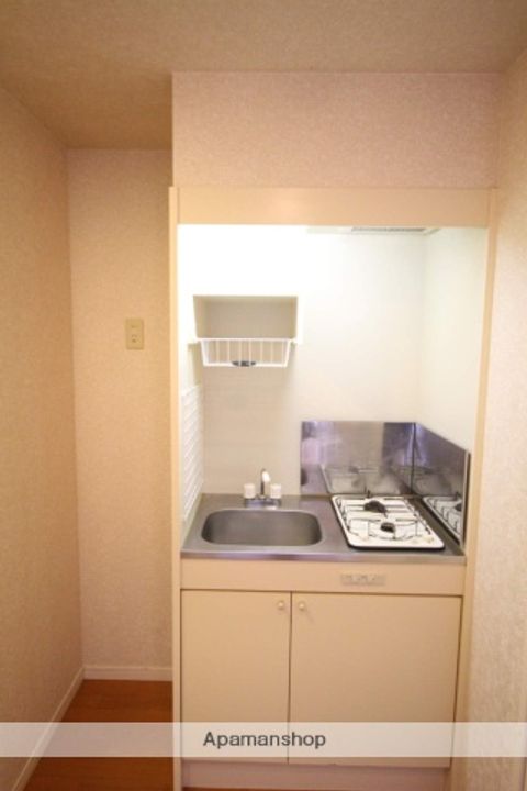 ダイナコートエスタディオミューズのキッチン