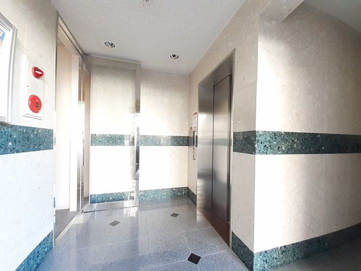 エバー グリーンのその他画像