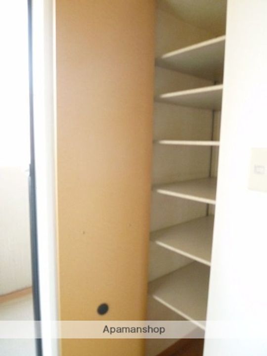 福岡県福岡市城南区別府4丁目の賃貸マンションの内装
