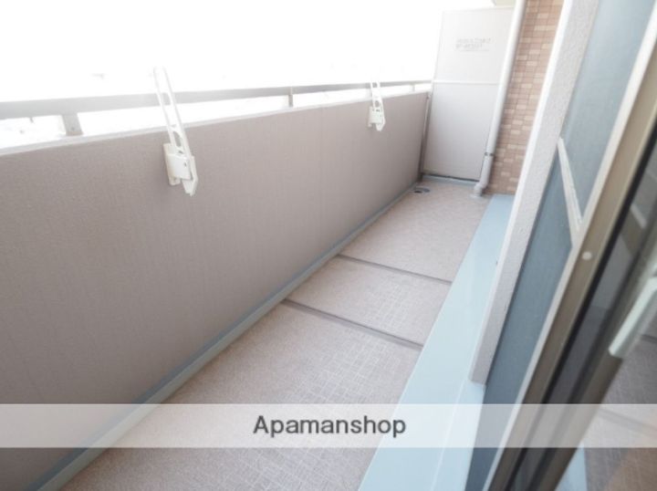 エレガンスマルフクのその他画像