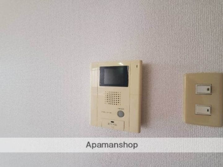 エレガンスマルフクのその他画像