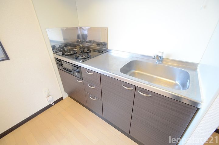 レオネクスト善のキッチン