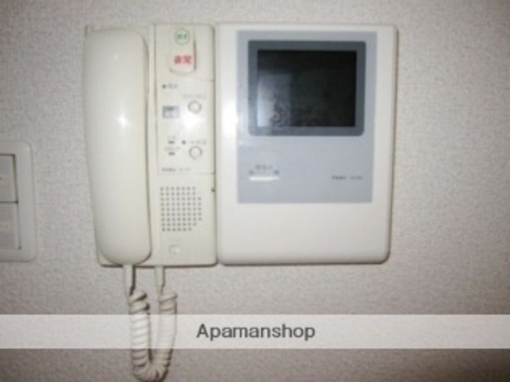 ヴィオレータのその他画像