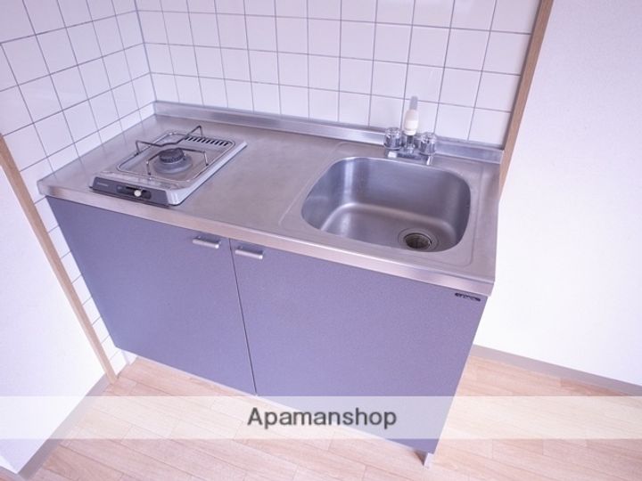 福岡県福岡市早良区西新1丁目の賃貸マンションのキッチン