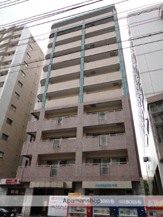 アムソピーラ祇園の外観