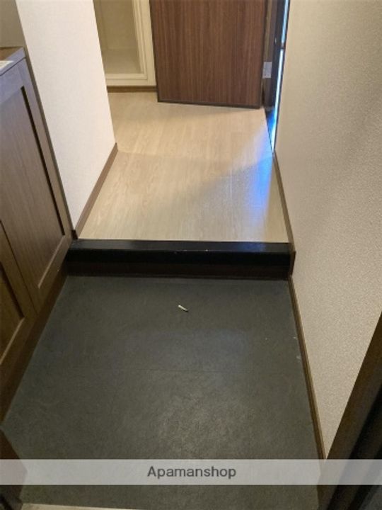 福岡県福岡市中央区薬院2丁目の賃貸マンションの玄関