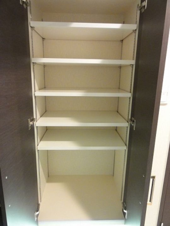 福岡県福岡市博多区美野島2丁目の賃貸マンションの玄関