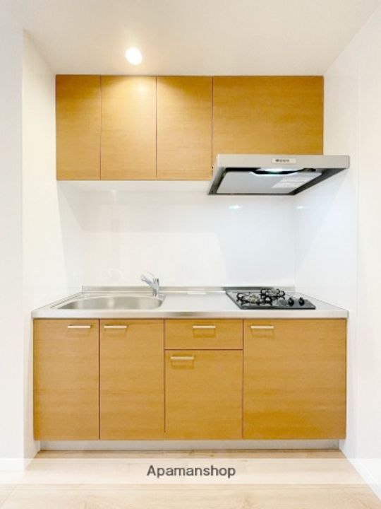 福岡県福岡市南区那の川1丁目の賃貸アパートのキッチン