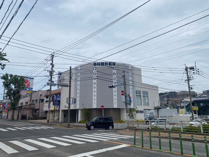 GENTIANA SCABRAの周辺