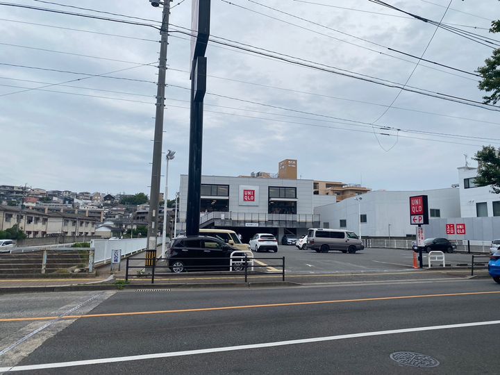 GENTIANA SCABRAの周辺