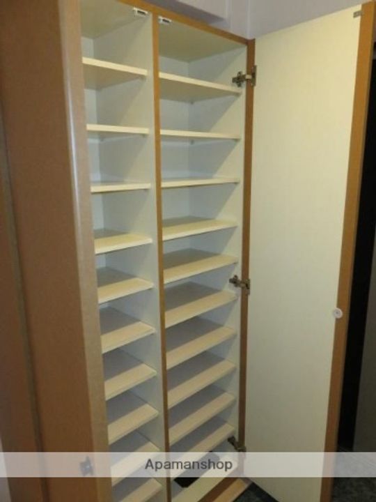 福岡県福岡市早良区祖原の賃貸マンションの内装