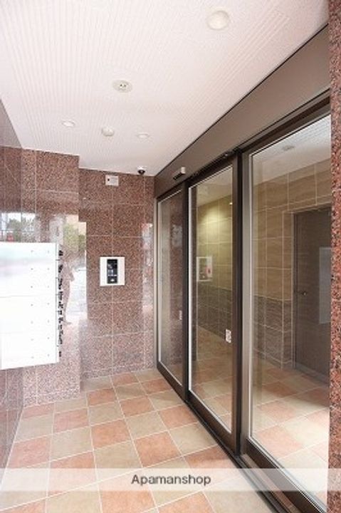 パウリスターのその他画像