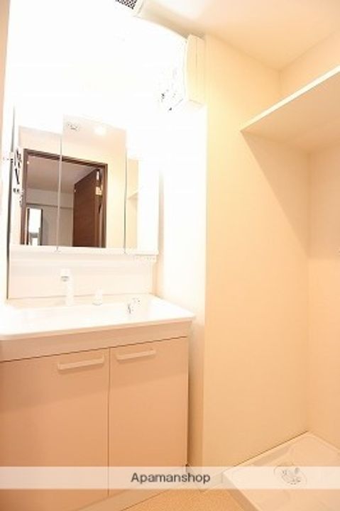 パウリスターのその他画像