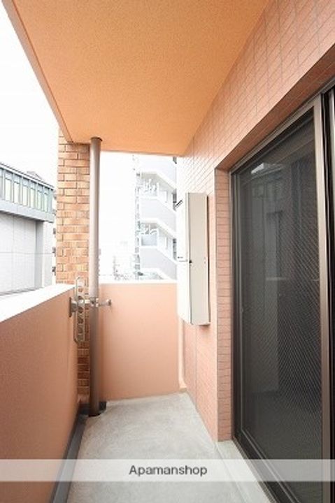 パウリスターのその他画像