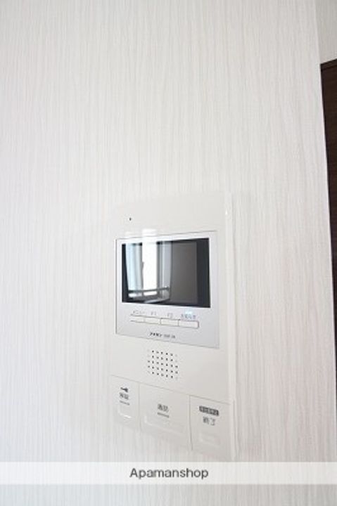 パウリスターのその他画像