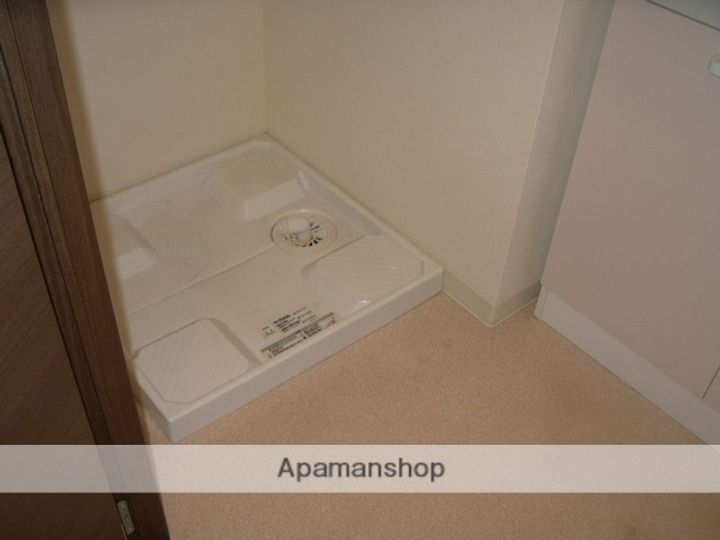 パウリスターのその他画像