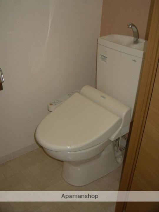 パウリスターのその他画像