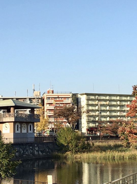 ダイアパレスジュノス大橋の周辺