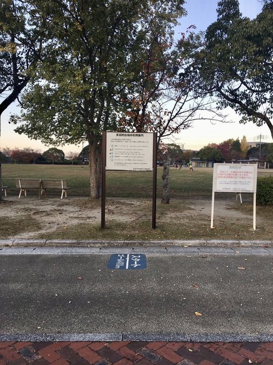 ダイアパレスジュノス大橋の周辺