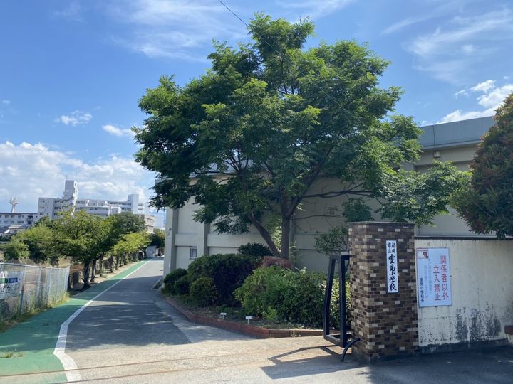 フェリーチェの周辺