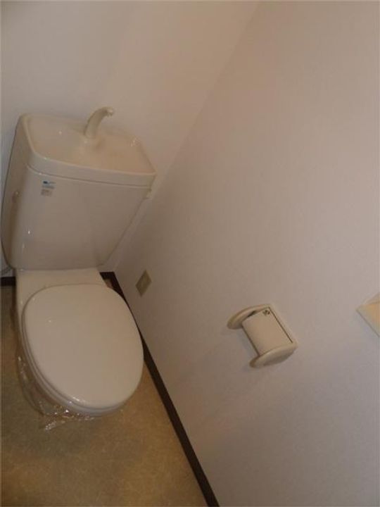 ヴァン パッソルのその他画像