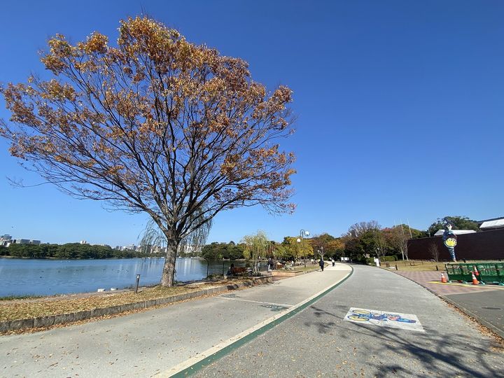 サンメゾン大濠公園北の周辺