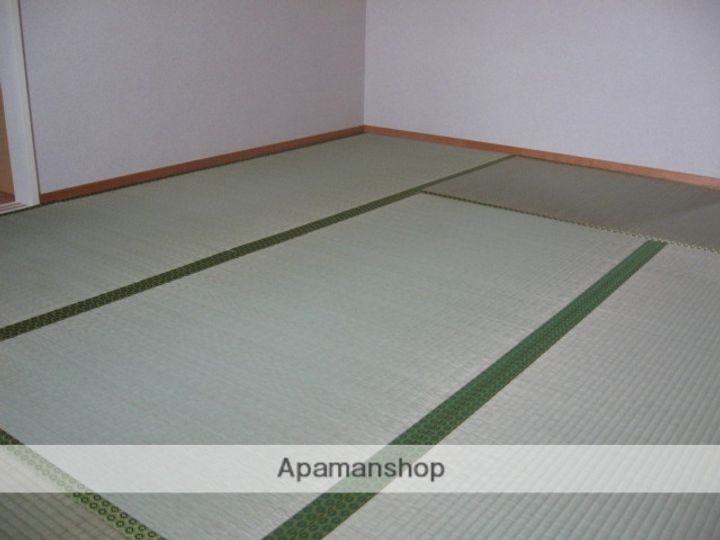 センダ・ハイツ・ハナセ201の内装