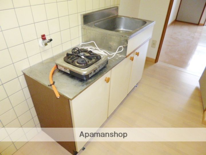 福岡県筑紫野市紫2丁目の賃貸アパート203のキッチン
