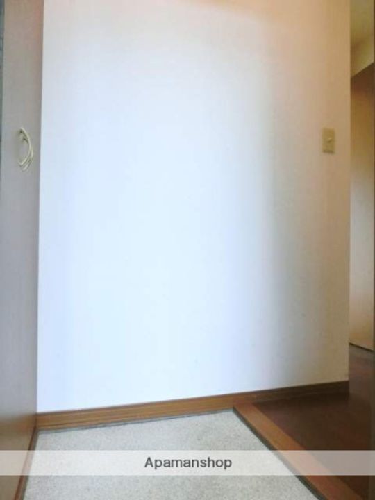 佐賀県鳥栖市田代外町の賃貸アパートA101の玄関