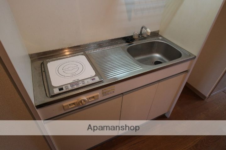 福岡県小郡市三沢の賃貸マンション306のキッチン