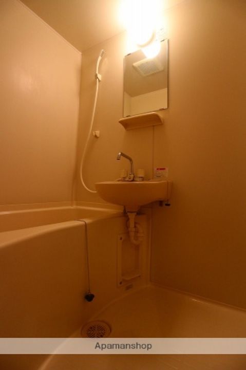 福岡県小郡市三沢の賃貸マンション306の風呂