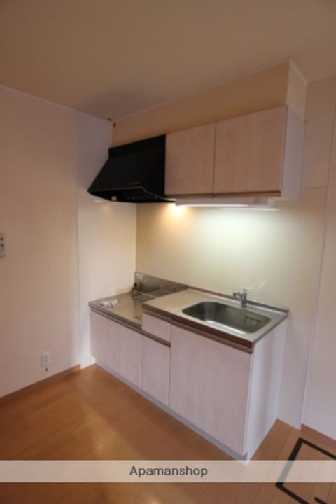 セントラルカーサA棟202のキッチン