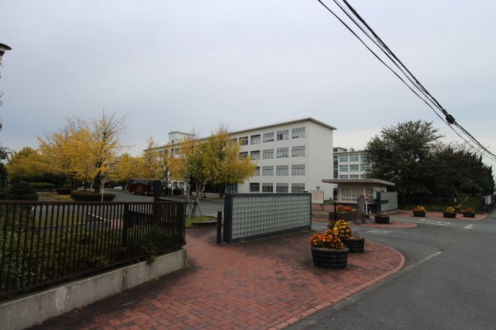 ライズピークBの周辺
