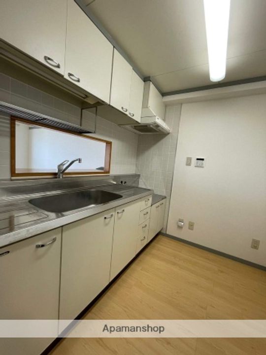 佐賀県鳥栖市藤木町の賃貸マンション916のキッチン