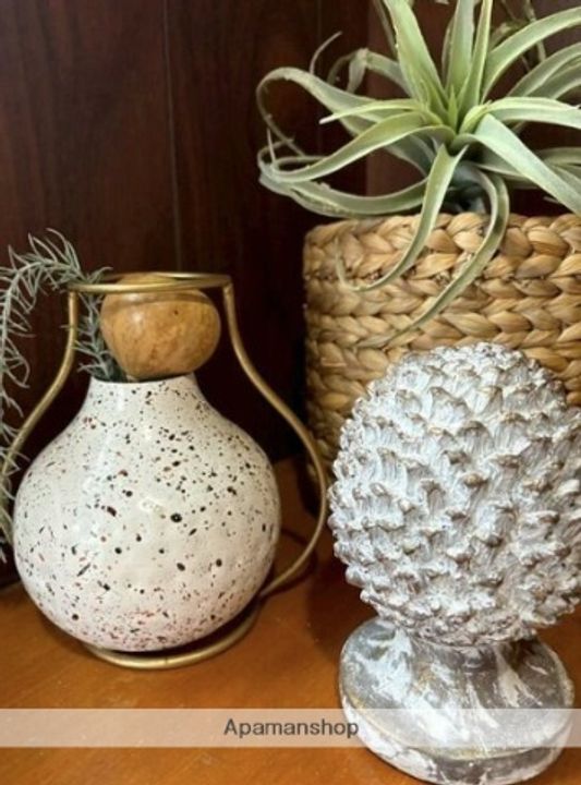 佐賀県鳥栖市山都町(一戸建)の賃貸物件戸建ての内装