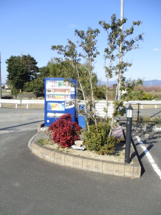 アヴニールのその他画像