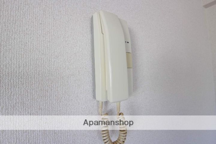 ルピエ昭代のその他画像